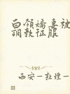白领娇妻被老板调教征服