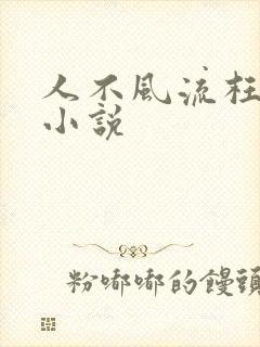 人不风流枉少年小说