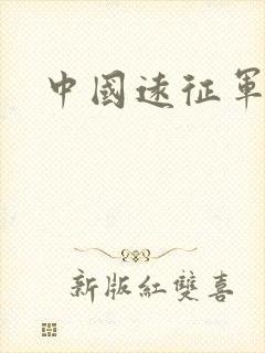 中国远征军小说