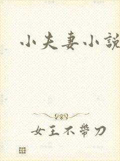 小夫妻小说