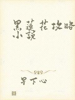 黑莲花攻略手册小说