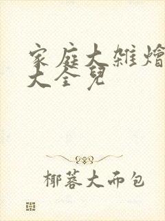 家庭大杂烩小说大全儿