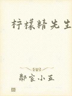 柠檬精先生
