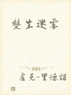 双生迷雾封面