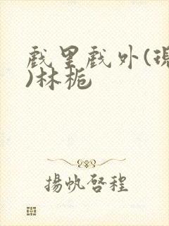 戏里戏外(现场)林栀