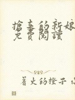 抢来的新娘全文免费阅读
