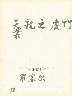 天龙之虚竹戏花丛封面