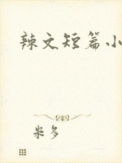 辣文短篇小说