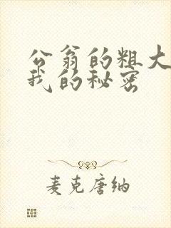 公翁的粗大放进我的秘密
