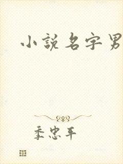 小说名字男生