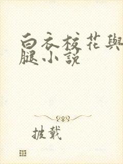 白衣校花与大长腿小说