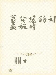翁公您的好长呀孟婉晴封面