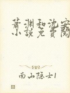 萧渊和沈安安的小说免费阅读封面