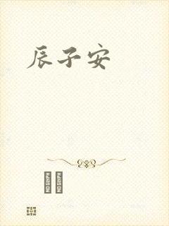 辰子安封面