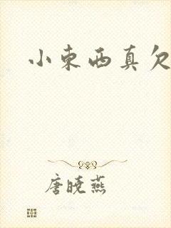 小东西真欠弄