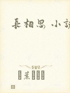 长相思 小说