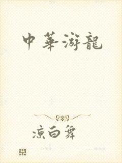 中华游龙封面