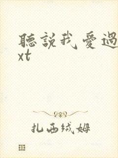听说我爱过你txt