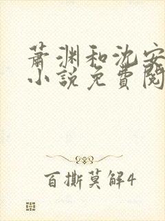 萧渊和沈安安的小说免费阅读