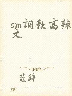 sm调教高辣h文