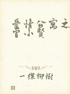 爱情公寓之极品曾小贤