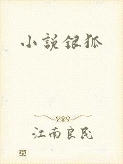 小说银狐封面