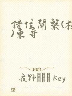 错位关系(校园)东哥封面