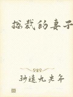 总裁的妻子