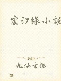 宸汐缘小说