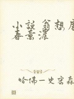 小说 翁想房中春意浓封面