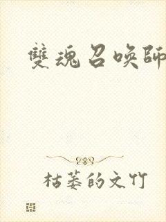 双魂召唤师