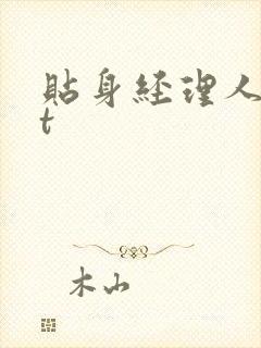 贴身经理人txt