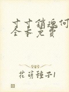 寸寸销魂何生祥全本免费
