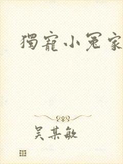 独宠小冤家封面