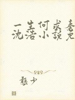 一生何求秦菲雪沈浩小说免费阅读全文封面