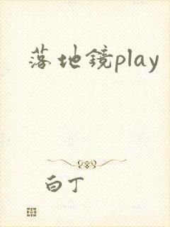 落地镜play