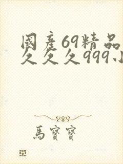 国产69精品久久久久999小说
