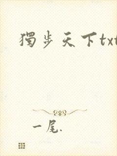 独步天下txt封面