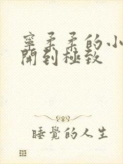 宁柔柔的小泬撑开到极致