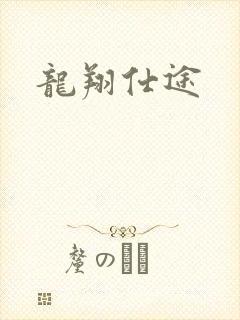 龙翔仕途