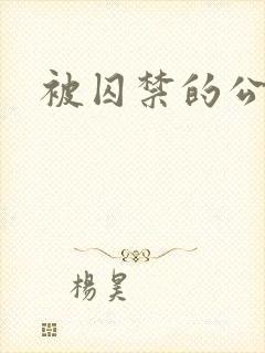 被囚禁的公主
