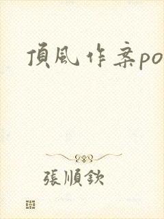 顶风作案po封面