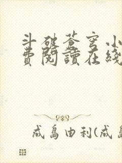 斗破苍穹小说免费阅读在线封面