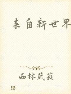 来自新世界小说封面