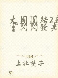 大团圆结2亲情会闪闪发光亲情会封面