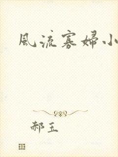 风流寡妇小说