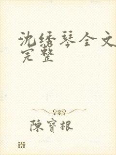 沈绣琴全文阅读完整封面