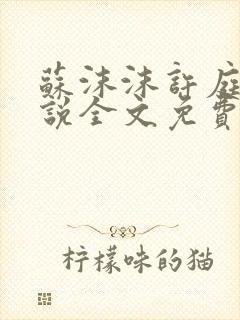 苏沫沫许庭川小说全文免费阅读