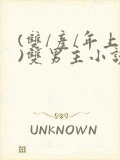 (双/产/年上)双男主小说