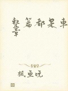 整篇都是车的文章